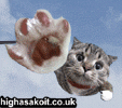Funny stuff 46
